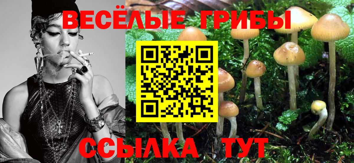 Псилоцибиновые грибы мицелий Новочеркасск